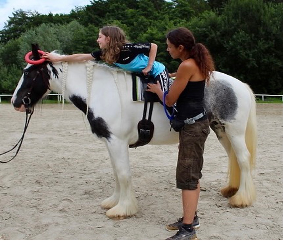 Ein Bild, auf dem die Therapiestute Maja zu sehen ist. Sie ist schwarz-weiß und hat lange, weiße Zöpfe. Auf Maja sitzt ein Mädchen, sie liegt bäuchlings an Majas Hals und umarmt diesen. Das Mädchen blickt nach vorne zu Majas Kopf, Majas Ohren sind aufmerksam zu dem Mädchen nach hinten gedreht.